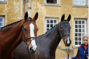 Nicola Wilson's lovely One Two Many and Beltane Queen // via badminton-horse.co.uk