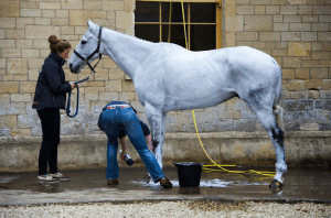 via badminton-horse.co.uk