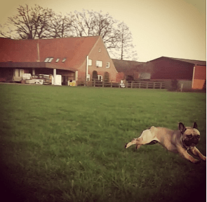 wilson via instagram