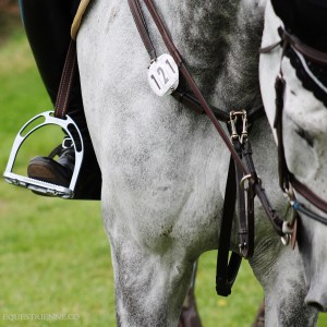 David Simpson's Gotti Van Paemel