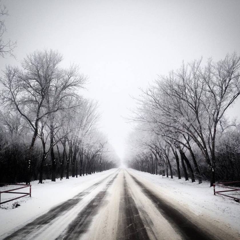 12342770_10156286907290244_5831916918562798756_n